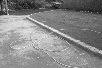 pose-bordure-miniature